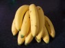 Musa 