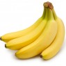 Musa 