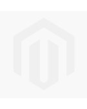 Aglaonema Suwanaphume Variegated