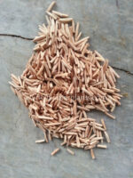 1000 Seeds " Adenium Mixed Seeds " - Image 2