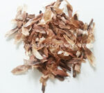 1000 Seeds " Plumeria Mixed Seeds " - Image 2